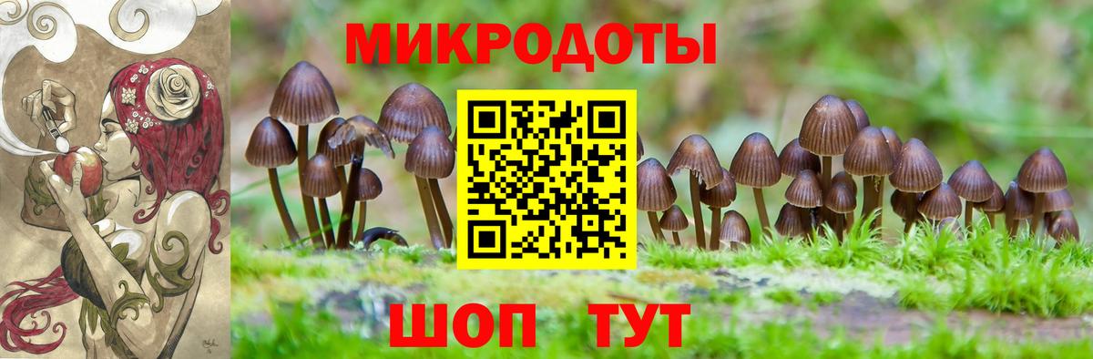 как найти наркотики  Псилоцибиновые грибы Psilocybine cubensis  Вход с VPN  Галлюциногенные грибы Psilocybine cubensis  Саратов 